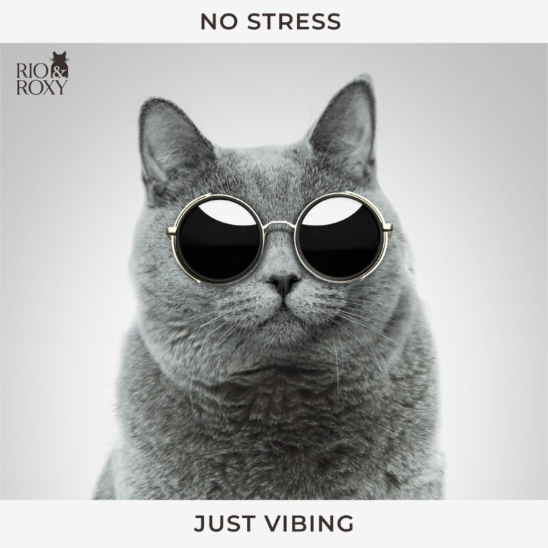 Air Bubble Visionary Growth Strategy Rio & Roxy (14)